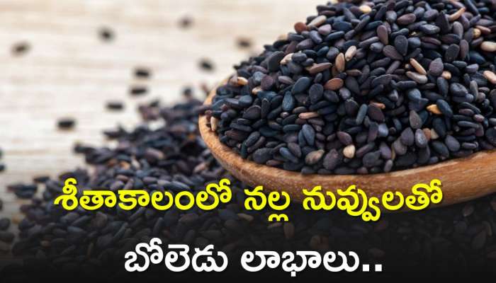 Black Sesame Seeds: శీతాకాలంలో నల్ల నువ్వులతో బోలెడు లాభాలు..ముఖ్యంగా ఈ వ్యాధులున్నవారికి..