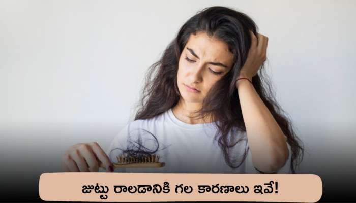 Hair Fall Reasons: జుట్టు రాలడానికి గల కారణాలు ఇవే!