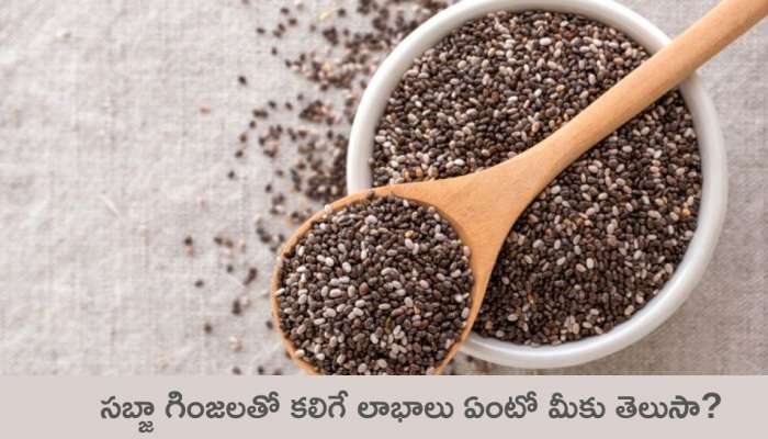 Sabja Seeds: సబ్జా గింజలతో కలిగే లాభాలు ఏంటో మీకు తెలుసా?