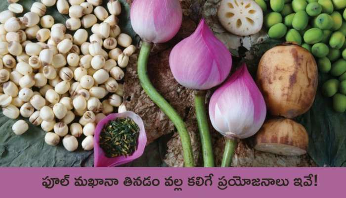 Lotus Seeds Benefits: ఫూల్ మ‌ఖానా తినడం వల్ల కలిగే ప్రయోజనాలు ఇవే!