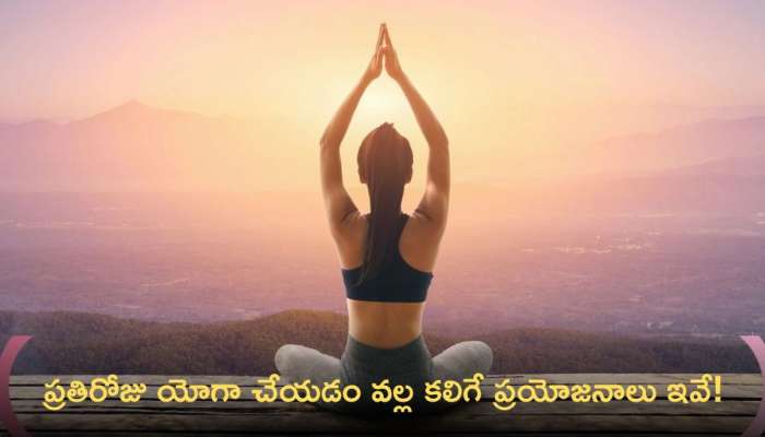 Yoga Benefits: ప్రతిరోజు యోగా చేయడం వల్ల కలిగే ప్రయోజనాలు ఇవే!
