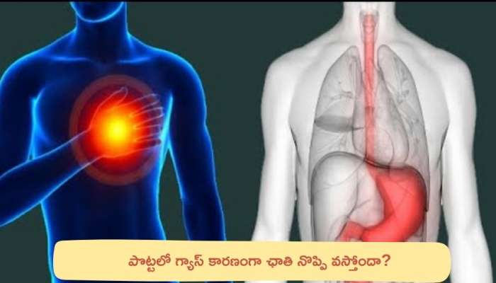 Chest Pain: పొట్టలో గ్యాస్ కారణంగా ఛాతి నొప్పి వస్తోందా? ప్రతిరోజు ఉదయం ఇలా చేయండి చాలు..