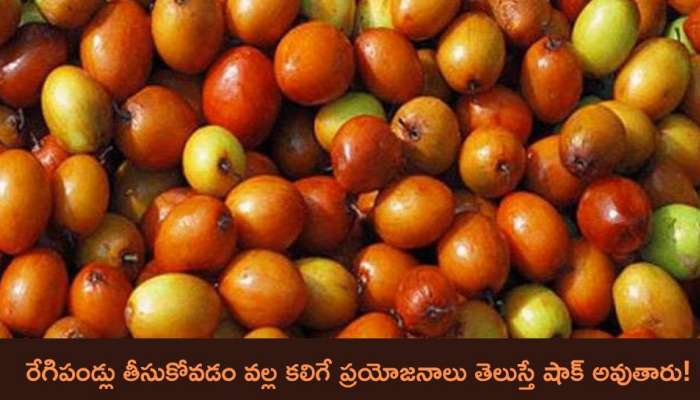 Regi Pallu: రేగిపండ్లు తీసుకోవడం వల్ల కలిగే ప్రయోజనాలు తెలుస్తే షాక్‌ అవుతారు!