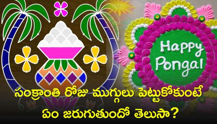 Sankranthi Muggulu: సంక్రాంతి రోజు ముగ్గులు పెట్టుకోకుంటే ఏం జరుగుతుందో తెలుసా? పురాణాలు చెబుతున్నవి ఇవే!