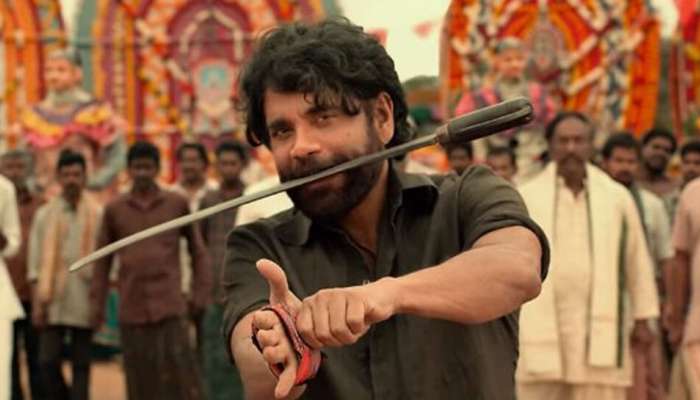 Naa Saami Ranga 3 Days Collections: ఆశ్చర్యపరుస్తున్న నా సామి రంగా.. మూడురోజుల్లో ఎంత కలెక్ట్ చేసిందో తెలుసా