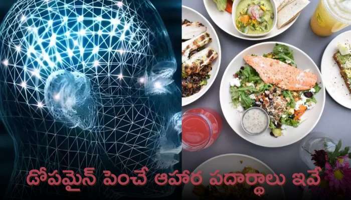 Dopamine Foods: డోపమైన్ పెంచే ఆహార పదార్థాలు ఇవే!