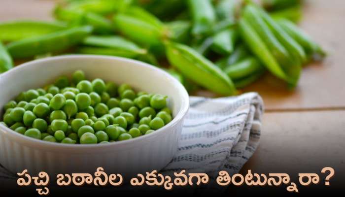 Green Peas: పచ్చి బఠానీలు ఎక్కువగా తింటున్నారా? అయితే ఈ విషయం తెలుసుకోండి!