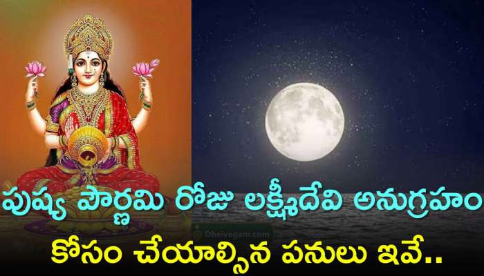 Pournami 2024 Date And Time: పుష్య పౌర్ణమి రోజు లక్ష్మీదేవి అనుగ్రహం కోసం చేయాల్సిన పనులు ఇవే..ఇలా చేస్తే సంపాదనకు డోకా ఉండదు!