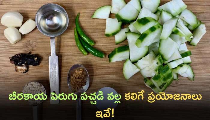 Beerakaya Perugu: బీరకాయ పెరుగు పచ్చడి వల్ల కలిగే ప్రయోజనాలు ఇవే!