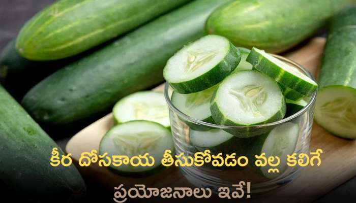 Cucumber Benefits: కీర దోసకాయ తీసుకోవడం వల్ల కలిగే ప్రయోజనాలు ఇవే!