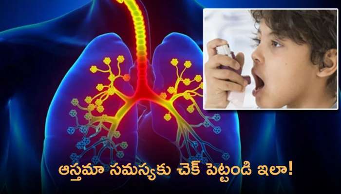 Asthma health tips: ఆస్తమా సమస్యకు చెక్‌ పెట్టండి ఇలా! 
