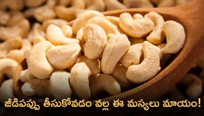 Cashew Nuts: జీడిపప్పు తీసుకోవడం వల్ల ఈ సమస్యలు మాయం!