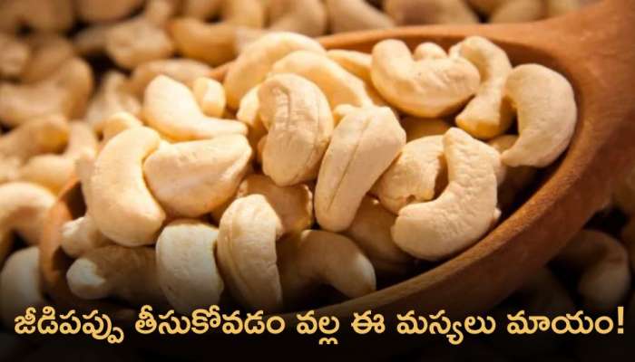 Cashew Nuts: జీడిపప్పు తీసుకోవడం వల్ల ఈ సమస్యలు మాయం!