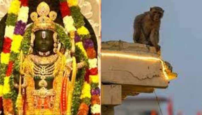 Ayodhya: అయోధ్యలో అరుదైన ఘటన.. రామ్  లల్లా గర్భగుడిలోకి ప్రవేశించిన వానరం ఏంచేసిందో తెలుసా..?