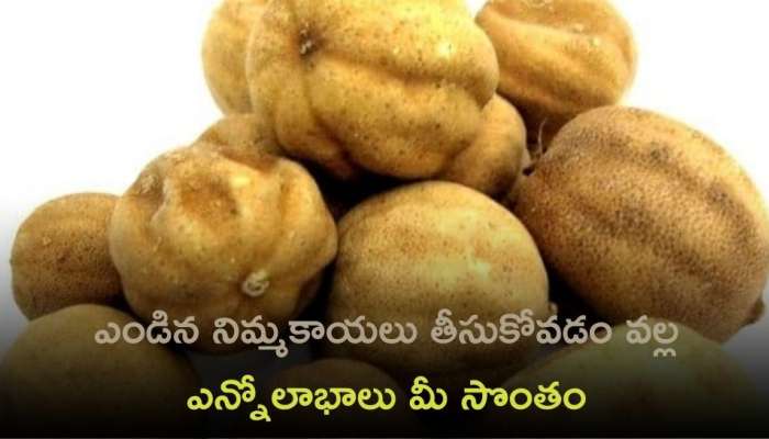 Dried Lemon: ఎండిన నిమ్మకాయల్లో ఎన్నో ఆరోగ్య ప్రయోజనాలు మీరు తెలుసుకోండి!