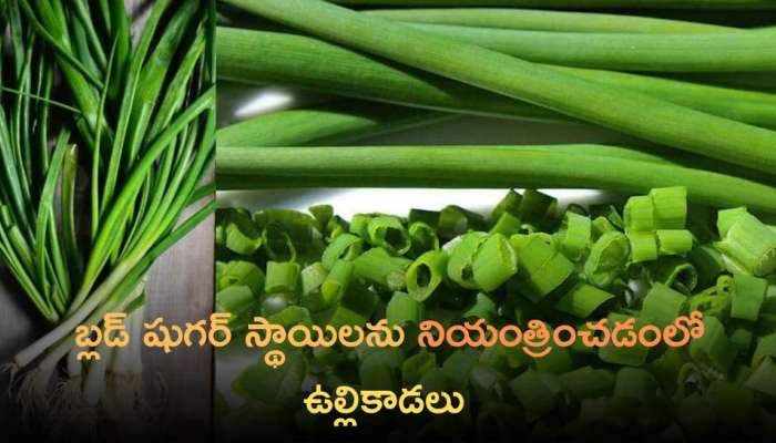 Spring Onion: ఉల్లి కాడలతో ఎన్నో ప్రయోజనాలు.. షుగర్‌ సమస్యకు చెక్‌!