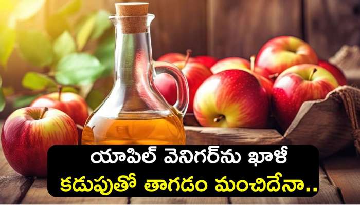 Apple Vinegar Benefits: యాపిల్ వెనిగర్‌ను ఖాళీ కడుపుతో తాగడం మంచిదేనా.. మీరు కూడా ఇలా తాగుతున్నారా?