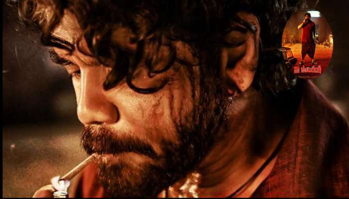 Nagarjuna - Naa Saami Ranga: 2 వారాలు పూర్తి చేసుకున్న నాగార్జున 'నా సామిరంగ'.. మొత్తం వసూళ్లు ఎంతంటే..?