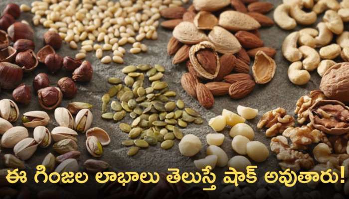 Nuts and Seeds: ఈ గింజలు, విత్తనాలు తీసుకోవడం ఆరోగ్యానికి ఎంతో మేలు!