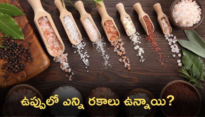 Types of Salt: ఉప్పు ఎన్ని రకాలు.. ఏది ఆరోగ్యానికి మేలు చేస్తుంది?