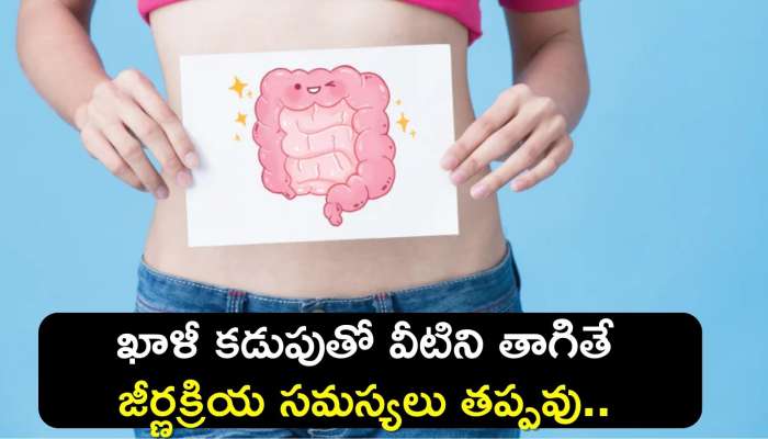 Improve Digestive Health: ఖాళీ కడుపుతో వీటిని తాగితే జీర్ణక్రియ సమస్యలు తప్పవు..