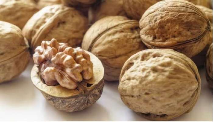 Walnuts Benefits: రోజుకు కొన్ని వాల్‌నట్స్ తింటే చాలు ఈ వ్యాధులు దరిచేరవు