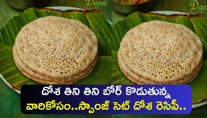 Set Dosa Recipe: దోశ తిని తిని బోర్ కొడుతున్న వారికోసం..స్పాంజ్ సెట్ దోశ రెసిపీ..