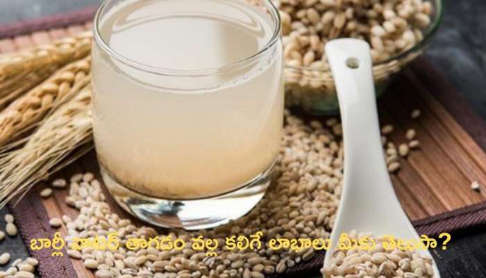 Barley Water:  బార్లీ వాటర్‌ తాగడం వల్ల కలిగే లాభాలు మీకు తెలుసా? 
