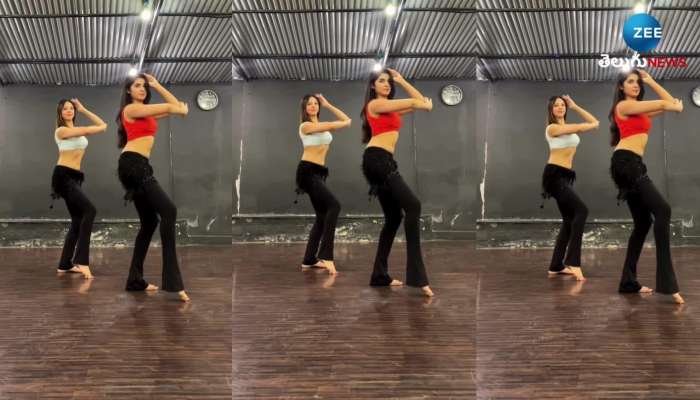 Krithi Shetty Belly Dance Video Goes Viral In Google Trends Dh