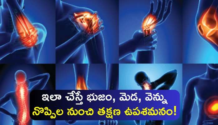 Body Pains: ఇలా చేస్తే భుజం, మెడ, వెన్నునొప్పిల నుంచి తక్షణ ఉపశమనం..