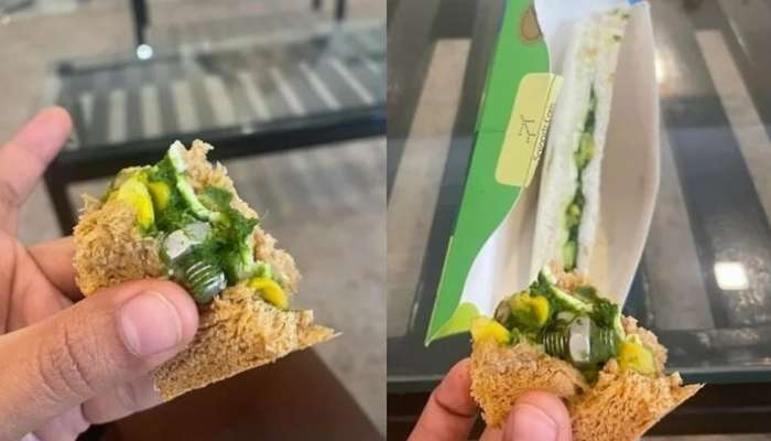 IndiGo Screw Sandwich: శాండ్‌విచ్‌లో ఇనుప బోల్ట్‌, స్క్రూ.. ఇలా ఉంటే ఎలా తినాలిరా అయ్యా!