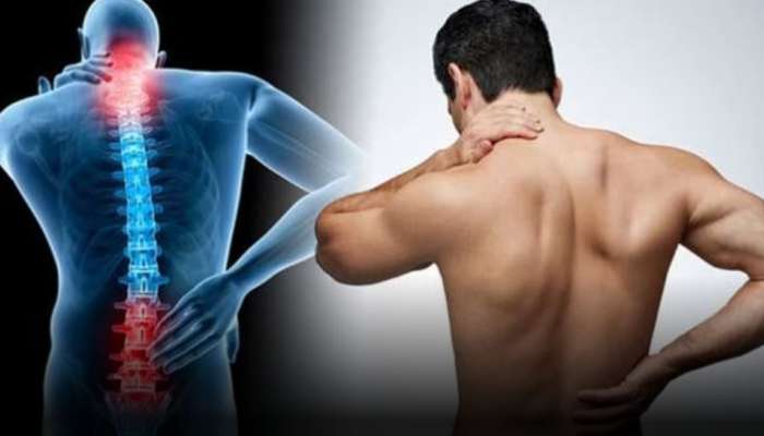 Back Pain: వెన్ను నొప్పి సమస్యలకు చెక్‌ పెట్టండి ఇలా !