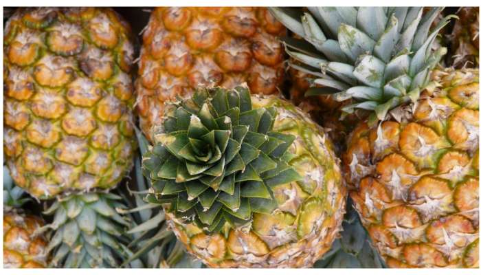 Pineapple Health Benefits:పైనాపిల్‌లో ఎన్ని ఔషధ గుణాలున్నాయో తెలుసా?