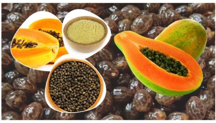 Papaya Seeds Health benefits: ఈ గింజలతో గుండెజబ్బులు.. కేన్సర్ దూరం..కానీ, ఇలానే తినాలట..