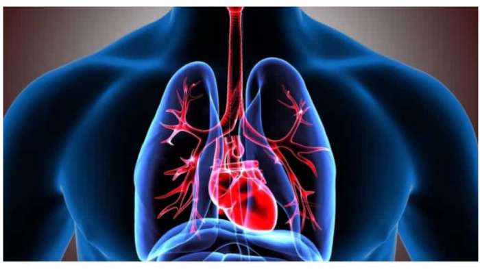 COPD: నడిస్తే ఆయాసం వస్తోందా? ఇలా చేస్తే లంగ్ కెపాసిటీ పెరుగుతుంది..