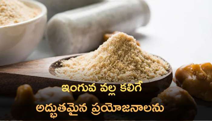 Hing Benefits: రోజూ చిటికెడు ఇంగువ తీసుకోవడం వల్ల  అద్భుత‌మైన ప్ర‌యోజ‌నాల‌ను పొంద‌వ‌చ్చు..!