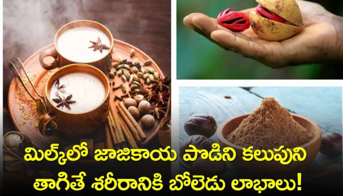 Nutmeg Benefits: మిల్క్‌లో జాజికాయ పొడిని కలుపుని తాగితే శరీరానికి బోలెడు లాభాలు!