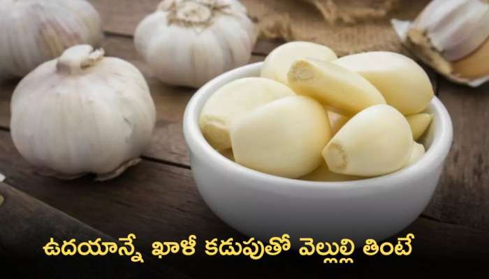 Garlic Eating Empty Stomach: ఉదయాన్నే ఖాళీ కడుపుతో వెల్లుల్లి తింటే చాలా లాభాలు ఉన్నాయి