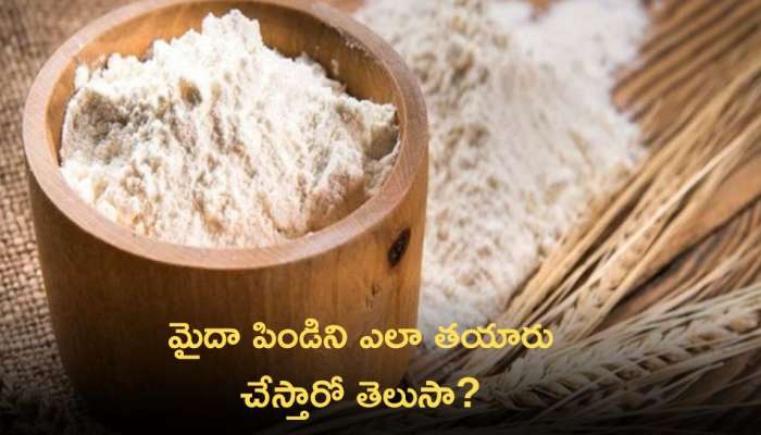 Maida Flour: మైదా పిండిని ఎలా తయారు చేస్తారో తెలుసా? దీన్ని అధికంగా తీసుకుంటే ఏం జరుగుతుంది