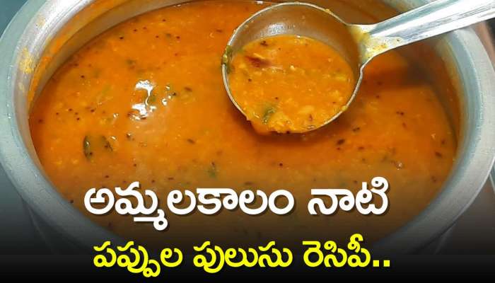 Pappula Pulusu Recipe: అమ్మలకాలం నాటి పప్పుల పులుసు రెసిపీ..ఇలా 10 నిమిషాల్లో రెడీ చేసుకోండి!