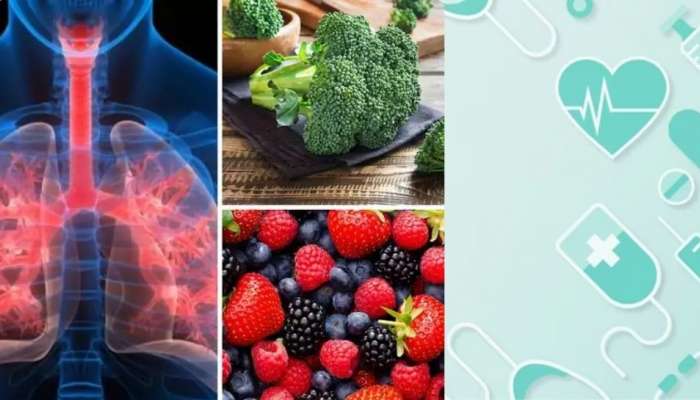 Lungs Foods: ఊపిరితిత్తులు ఆరోగ్యంగా ఉండాలంటే ఎలాంటి ఆహార పదార్థాలు తప్పకుండా తీసుకోవాలి ?