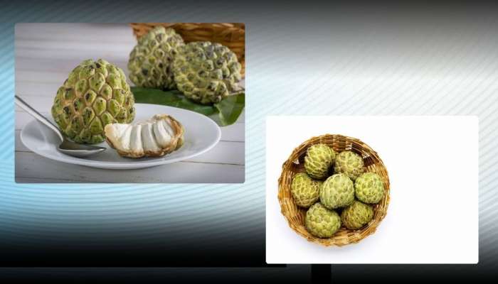 Wild Sweetsop: కాల్షియం తక్కువ ఉన్నవారు ఈ పండును తప్పకుండా తీసుకోవడం వల్ల సమస్యకు చెక్‌ !