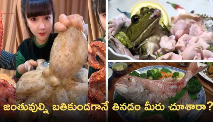 Weirdest Foods: ఈ ప్రాంతంలో జంతువుల్ని బతికుండగానే లొట్టలు వేసుకొని తింటారు