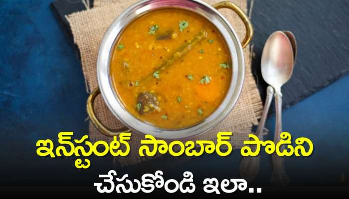 Instant Sambar Recipe: ఇన్‌స్టంట్ సాంబార్ పొడిని 15 నిమిషాల్లో తయారు చేసుకోండి ఇలా..  