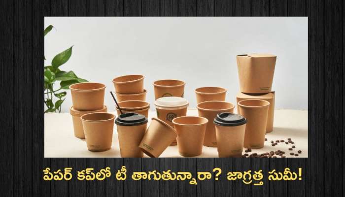 Tea Paper Cups: ఈ విషయం తెలిసాక మీరు పేపర్‌ కప్‌లో టీ అసలు తాగరు..
