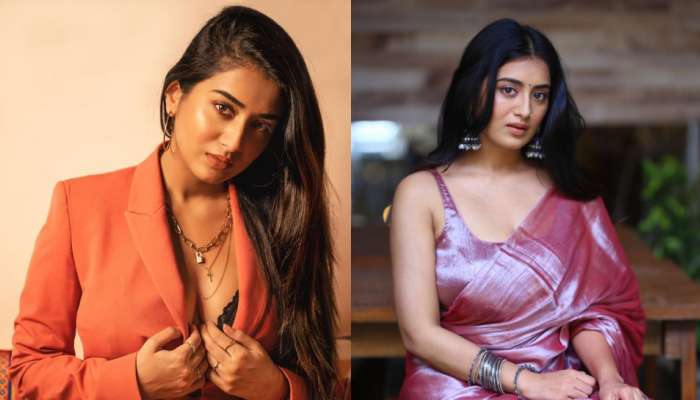 Rashi Singh: టాలీవుడ్‌లో నా ఫేవరేట్ హీరో అతనే.. &#039;భూతద్దం భాస్కర్ నారాయణ&#039; హీరోయిన్ రాశి సింగ్ ఇంట్రెస్టింగ్ కామెంట్స్..    