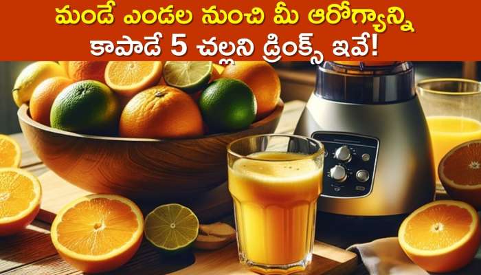 Healthy Summer Drinks: మండే ఎండల నుంచి మీ ఆరోగ్యాన్ని కాపాడే 5 చల్లని డ్రింక్స్‌ ఇవే!