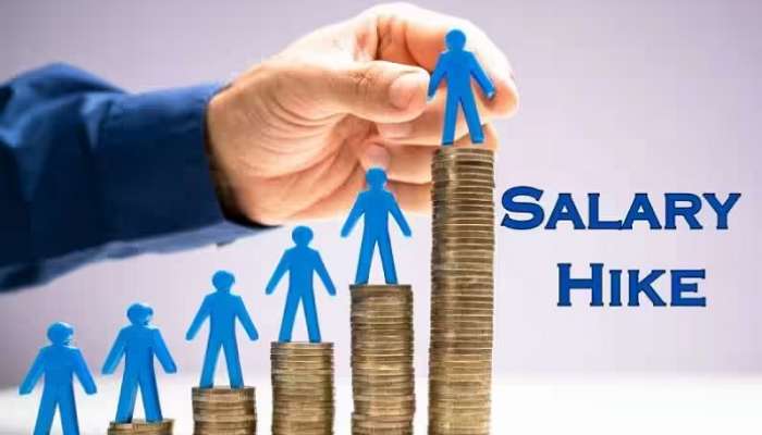 Salary Hike 2024: ఈ ఏడాది ప్రైవేట్ ఉద్యోగుల జీతాలు భారీగా పెరగనున్నాయా