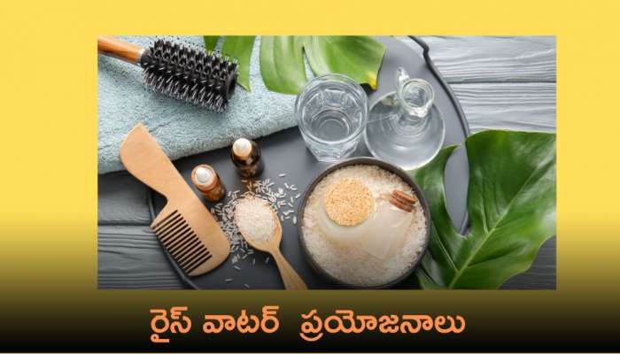 Rice Water: జుట్టు పెరుగుదల కోసం రైస్ వాటర్.. దీని ఎలా ఉపయోగించాలి.. 