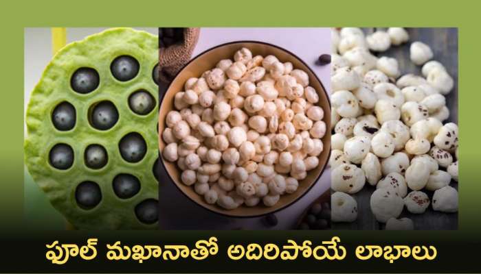 Makhana Benefits: ఫూల్ మఖానాతో అదిరిపోయే లాభాలు! మీరు తెలుసుకోండి..